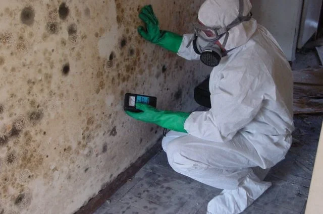 Reference image showing mould assessment work