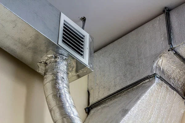 Illustrative mould assessment and property-care image supplied by Your Local Mould Removal