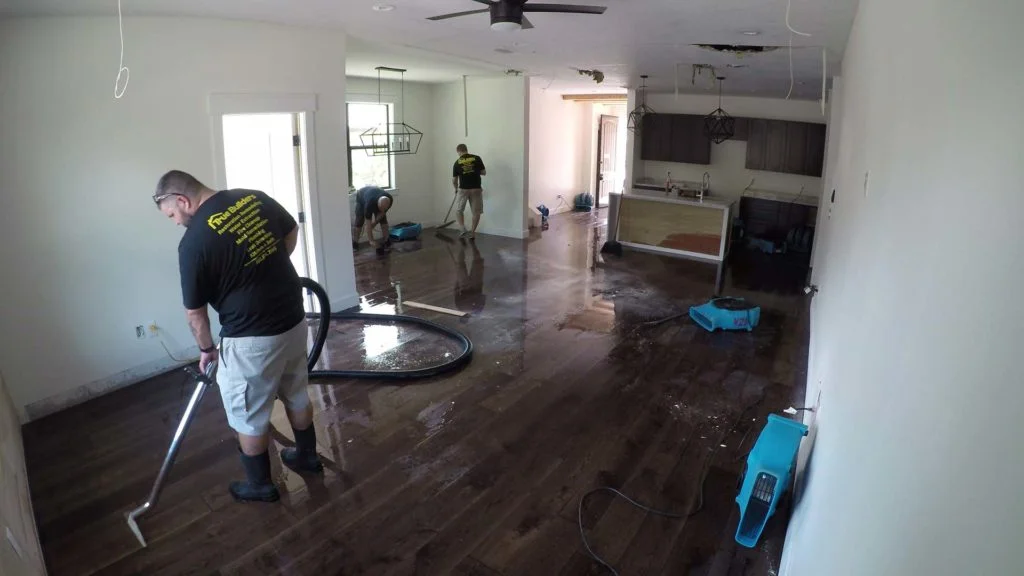 Illustrative mould assessment and property-care image supplied by Your Local Mould Removal