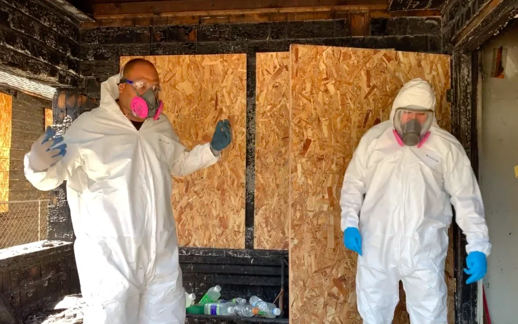 Illustrative mould assessment and property-care image supplied by Your Local Mould Removal